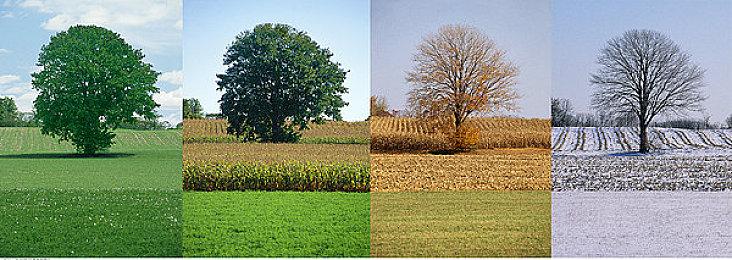 《死亡搁浅2》中文配音将于10月22日上线